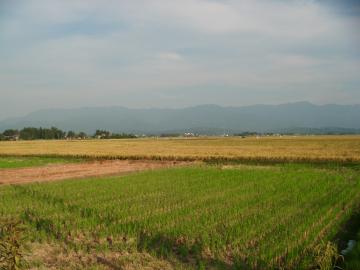 新潟の田園風景