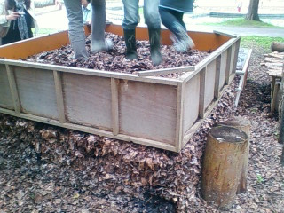 木枠腐葉土の踏み作業
