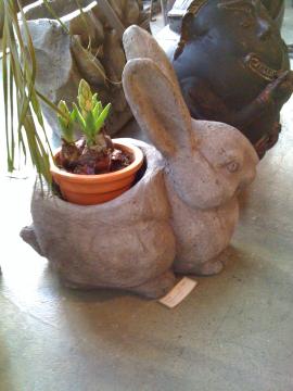ウサギの鉢