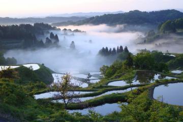 松之山の峠の棚田