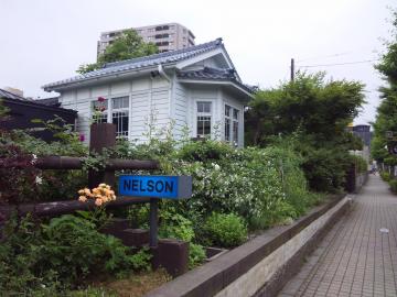 ネルソンの庭１