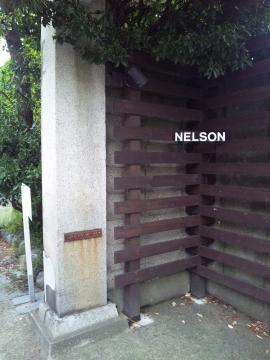 ネルソンの庭２