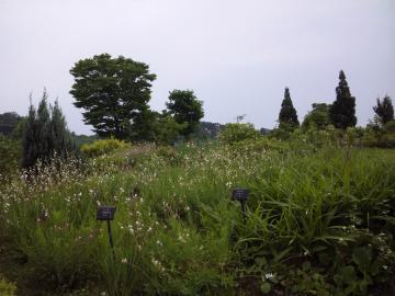 新潟県立植物園７