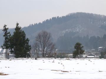 10年12月21日(山)