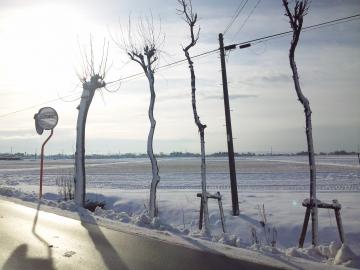 11年01月11日(雪)