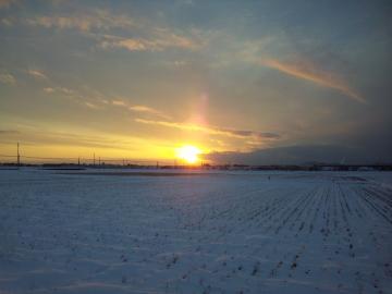 11年01月11日(夕日)