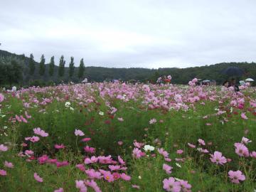 越後丘陵公園１３