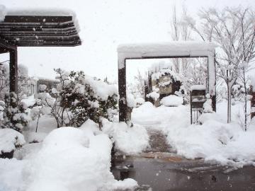 雪のゲート