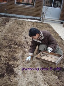 1002ジャガイモ植え付け3