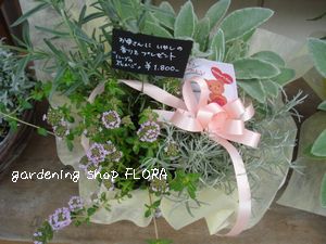 春のお客様感謝祭2-4