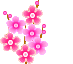 桃