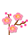 梅