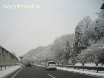 高速はしょっちゅう走るけど…雪道は久々だからすごい緊張！！！