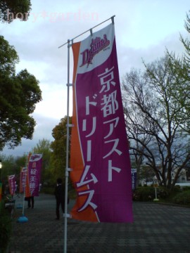 京都やから紫がテーマカラーって…ちょっと嫌。サンガ然り…。