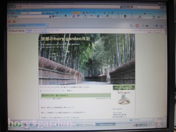 竹林公園は無料で色んな竹を見れる素敵な公園です！