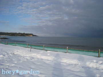 右の影は末妹、左はＹです。お散歩の大きな黒いわんこが可愛かった氷見海岸。