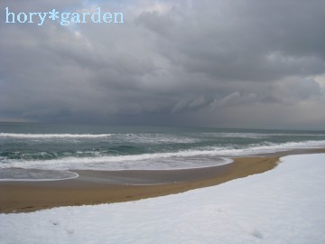 雪も打ち寄せる波も灰の雲も、すごい曲線美…自然ってすごいなぁ！