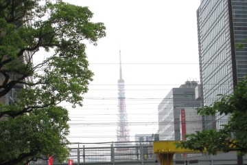 おひさしぶりの東京タワー…