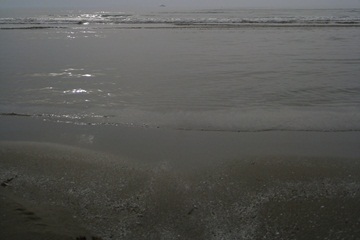 日本海の波は高そうなんだけど…そうでもなかった。