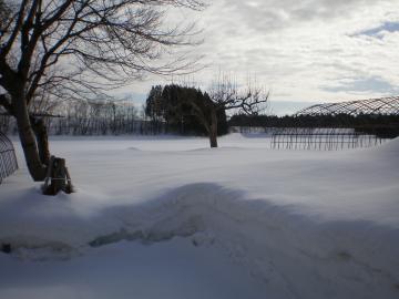 22.1.27 雪3