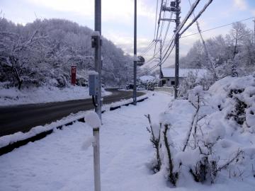 雪景色02