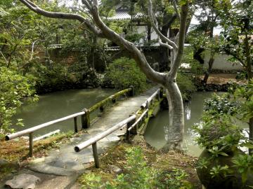 新薬師寺　観音堂前の池