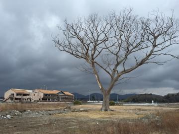 旧中浜小学校とケヤキの木