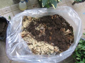 厚手のビニール袋に落葉を入れ、米糠、土、そして落葉…と何度か繰り返します。