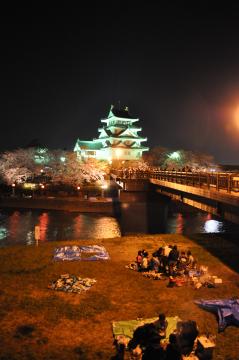 大垣　一夜城