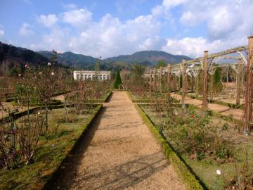 冬のバガテル公園