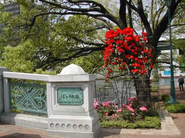 橋を渡ってまた続く薔薇園