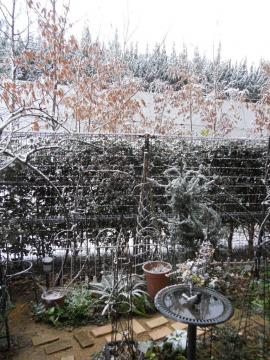 マイガーデンにも　雪。。。