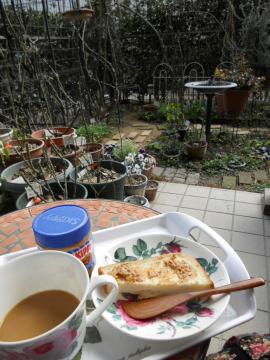 朝日のテラスと朝食