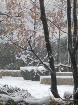 2時間後　5㎝積雪