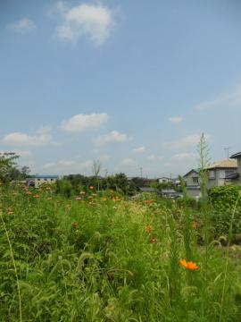 岐阜県多治見市 快晴