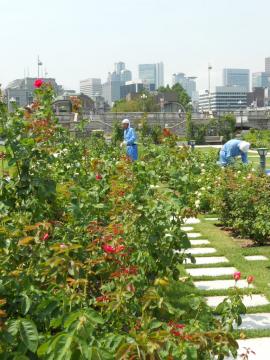 OSAKA－CITY STAFF