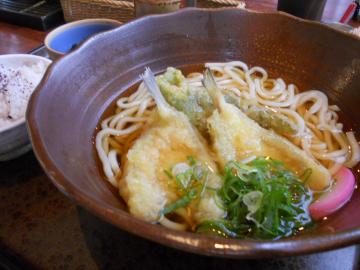 温かいうどん