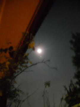 テラスから眺めた月