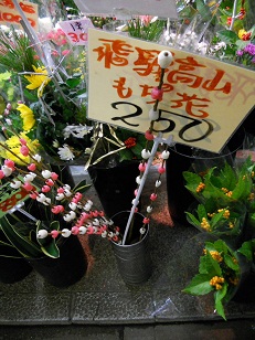 飛騨高山の餅花