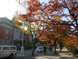 中央公会堂周辺の紅葉