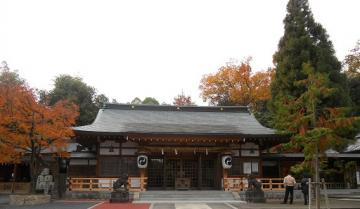 神社まで上り詰めました^_^;。。。