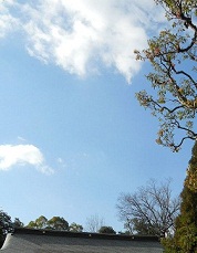 午前中は青い空に白い雲