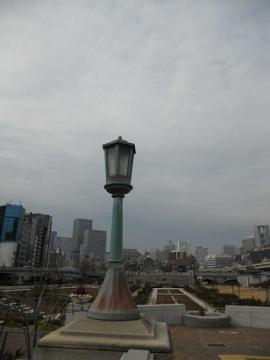 今日の薔薇園：大阪市内は薄曇り。。。。。。