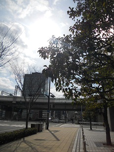 大阪市内正午：晴れ