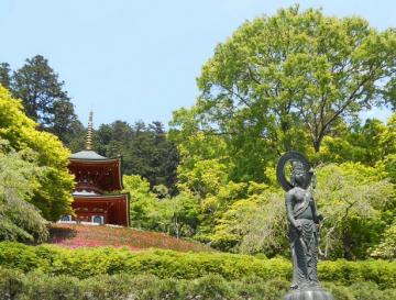 登りつめると観音像