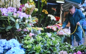 ヘップバーンの通った花屋さん