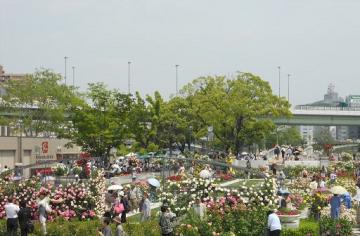 中央の花壇は、ばら＆人々。。。^_^;。。。。