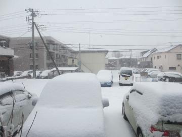 ２０１４年２月８日　大雪です(ヽ'ω`)