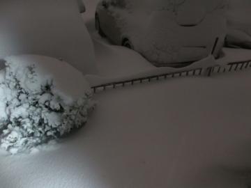 2014年2月８日　大雪です(ヽ'ω`)