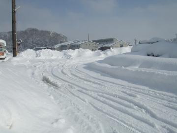 現実の雪景色